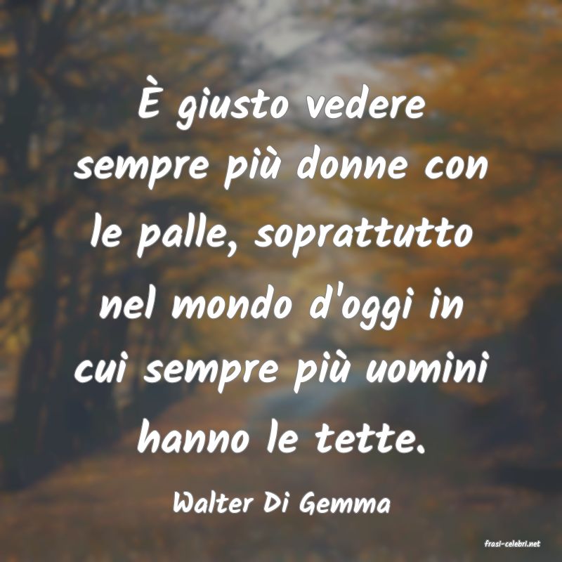 frasi di Walter Di Gemma