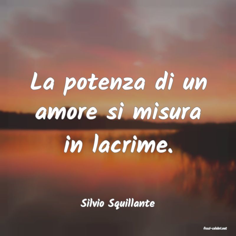 frasi di  Silvio Squillante
