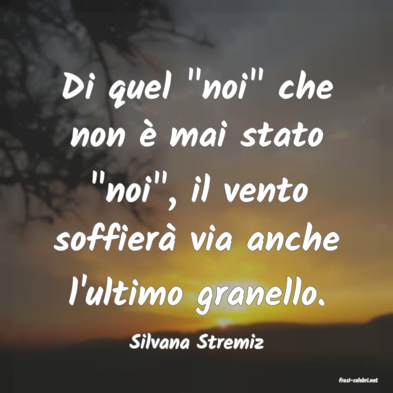 frasi di  Silvana Stremiz
