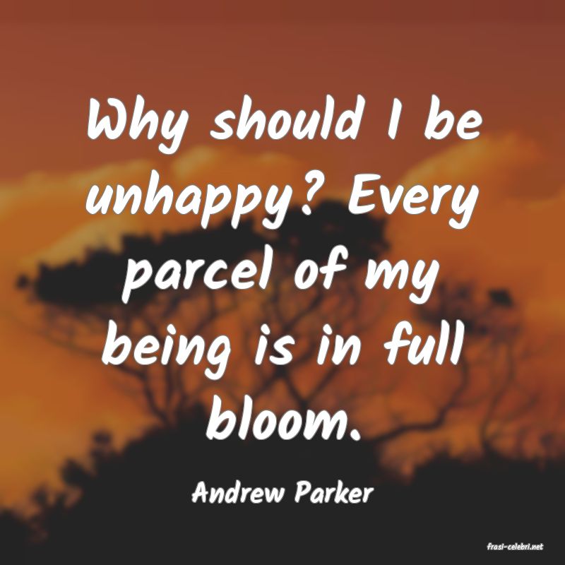 frasi di  Andrew Parker
