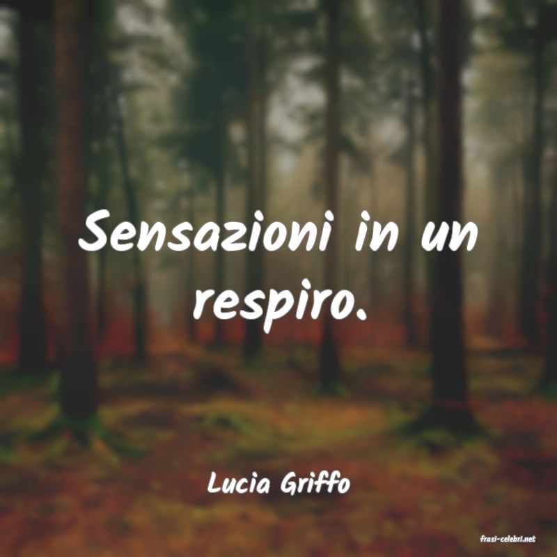 frasi di  Lucia Griffo
