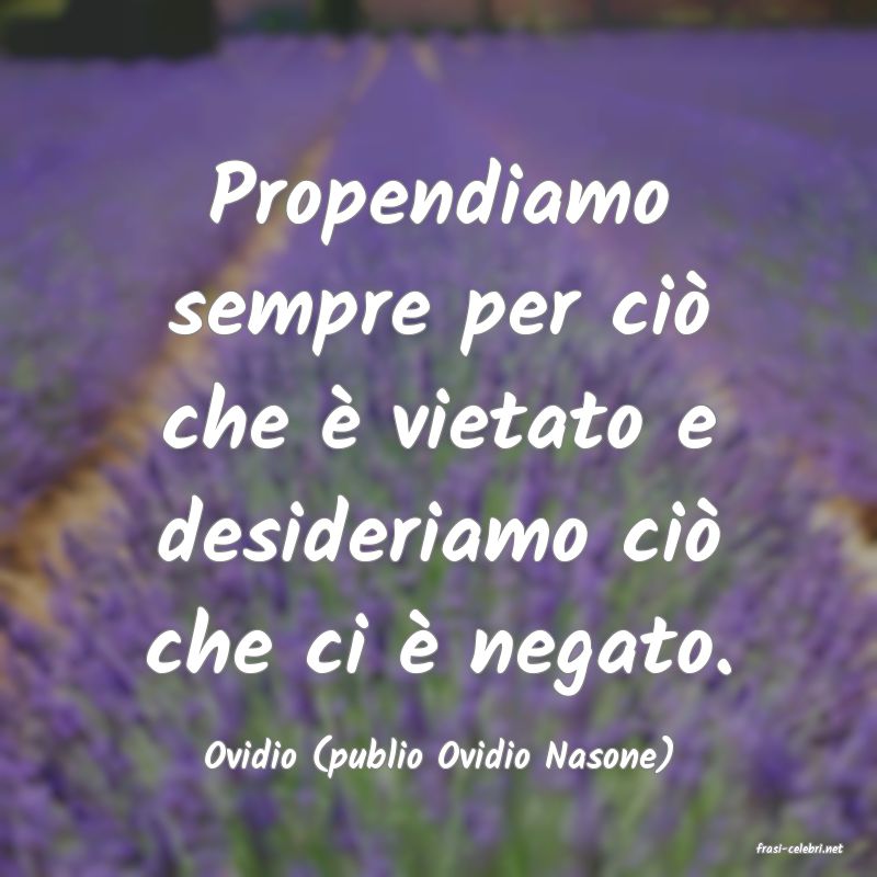 frasi di  Ovidio (publio Ovidio Nasone)
