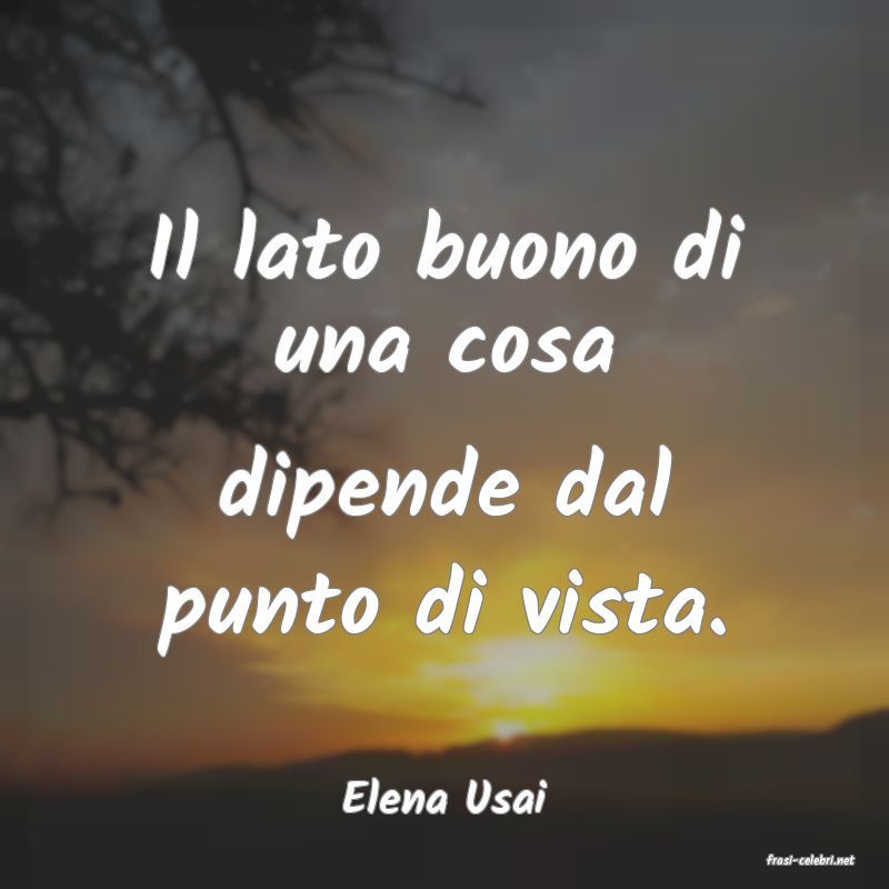 frasi di Elena Usai