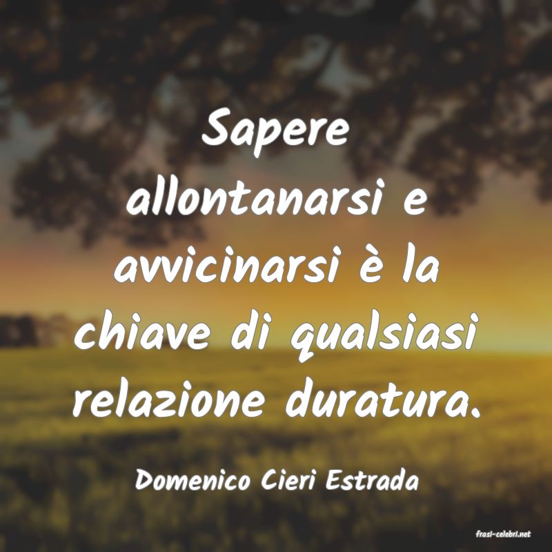 frasi di  Domenico Cieri Estrada
