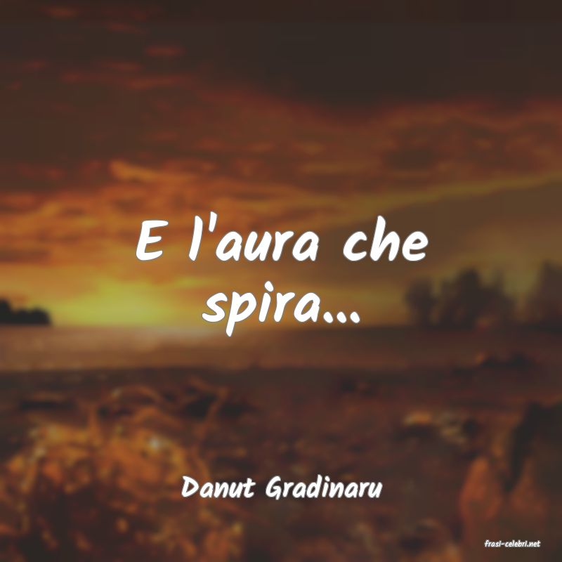 frasi di  Danut Gradinaru
