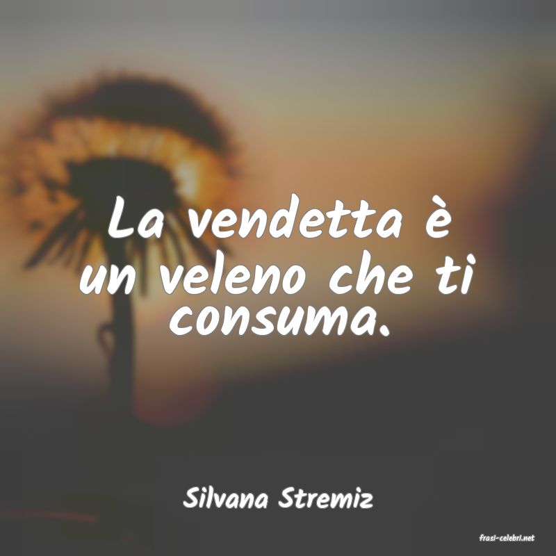 frasi di Silvana Stremiz