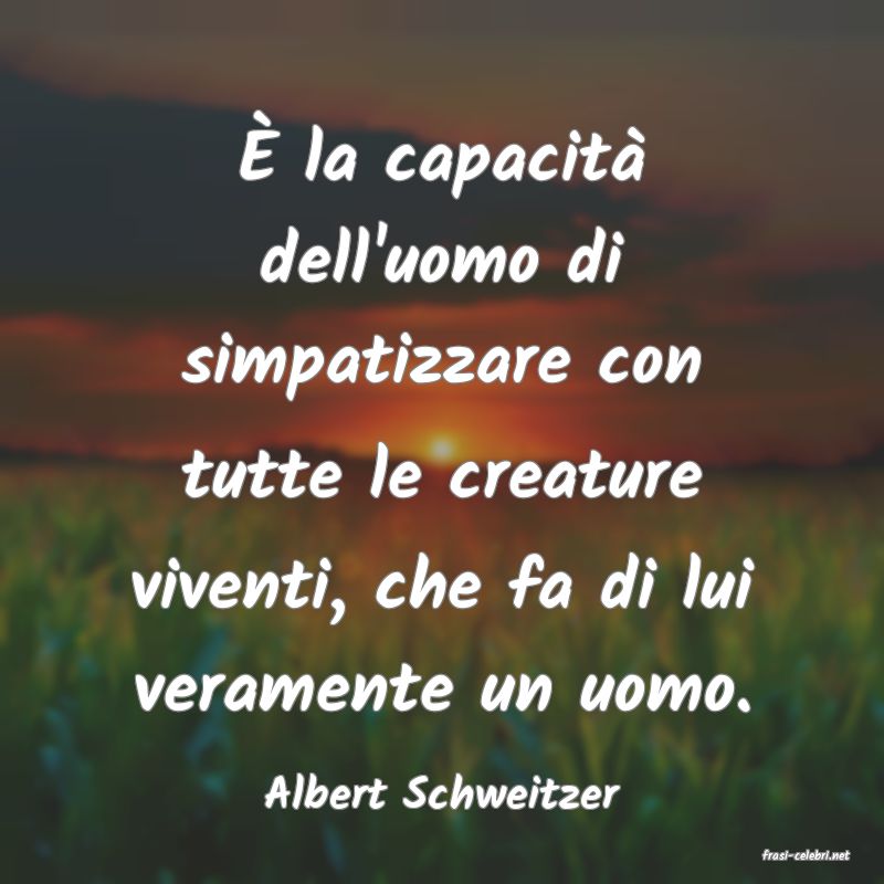 frasi di Albert Schweitzer