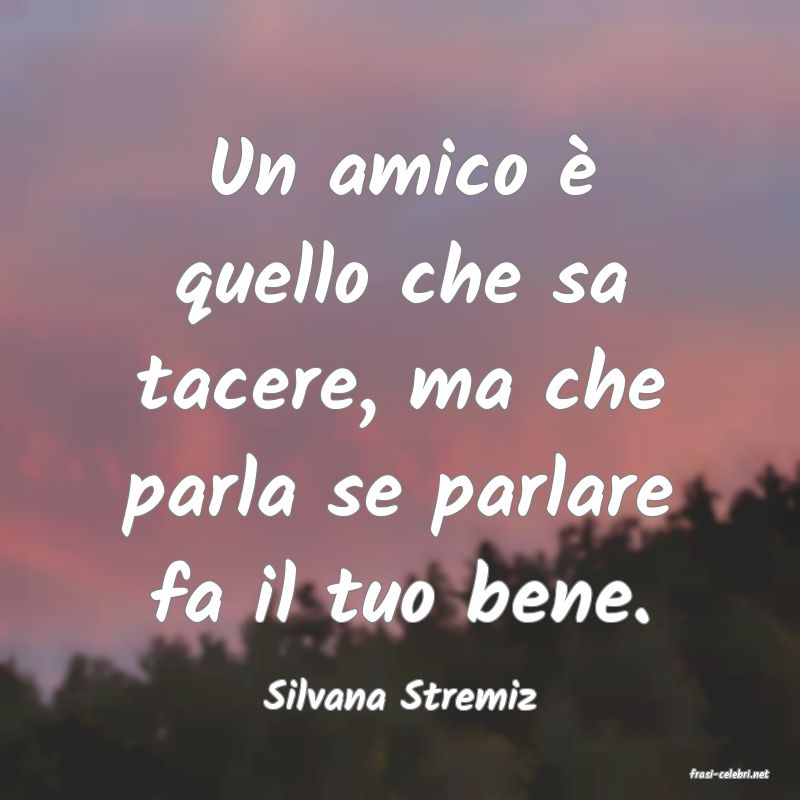 frasi di  Silvana Stremiz
