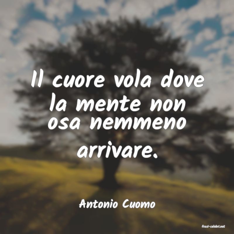 frasi di  Antonio Cuomo
