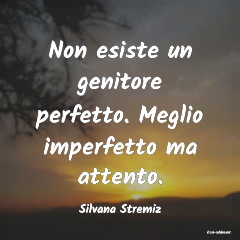 frasi di  Silvana Stremiz
