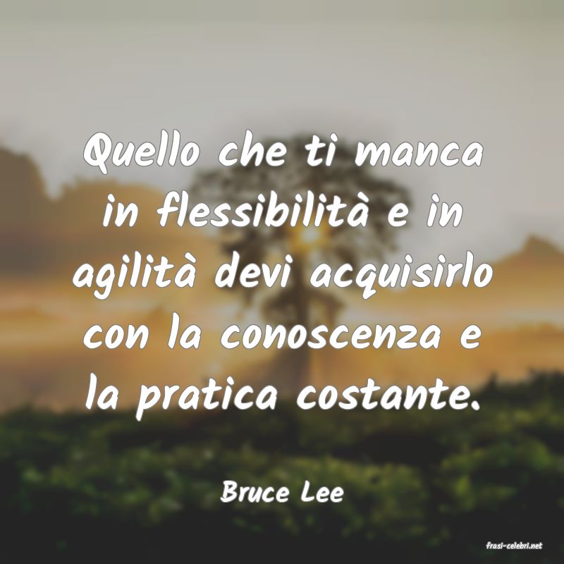 frasi di  Bruce Lee
