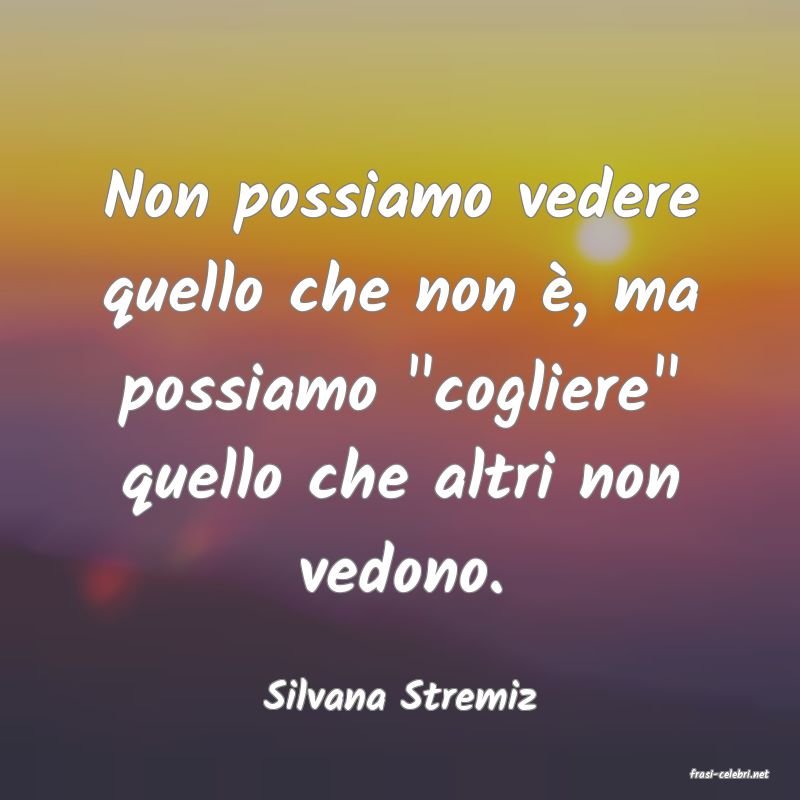 frasi di  Silvana Stremiz

