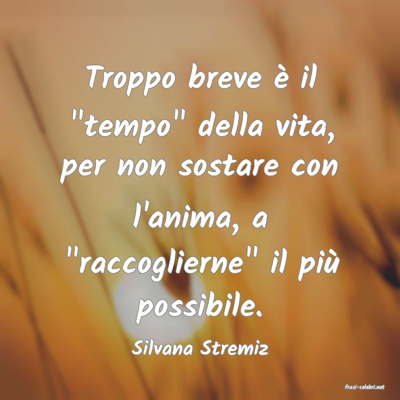 frasi di  Silvana Stremiz
