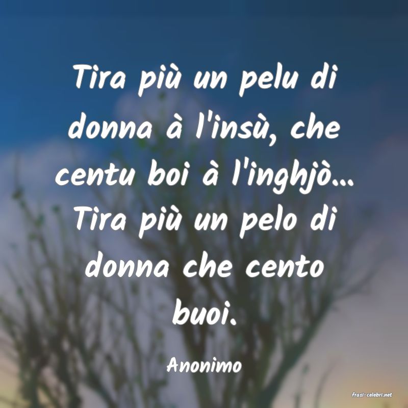 frasi di Anonimo