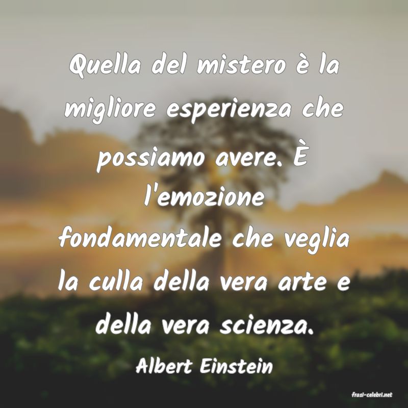 frasi di Albert Einstein