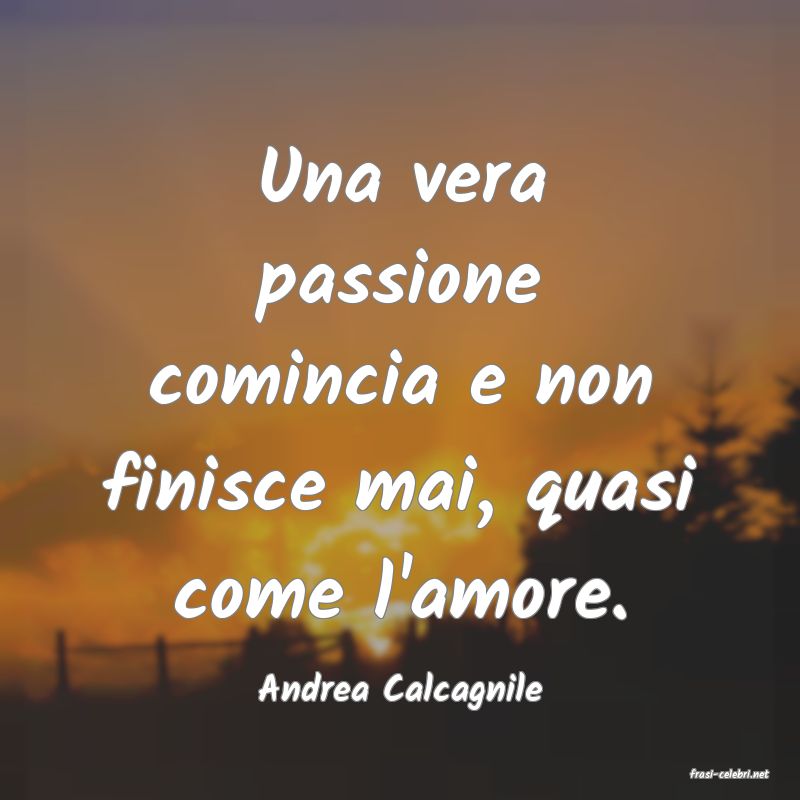 frasi di  Andrea Calcagnile
