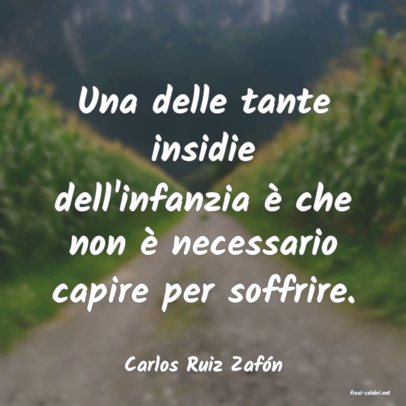 frasi di Carlos Ruiz Zafn