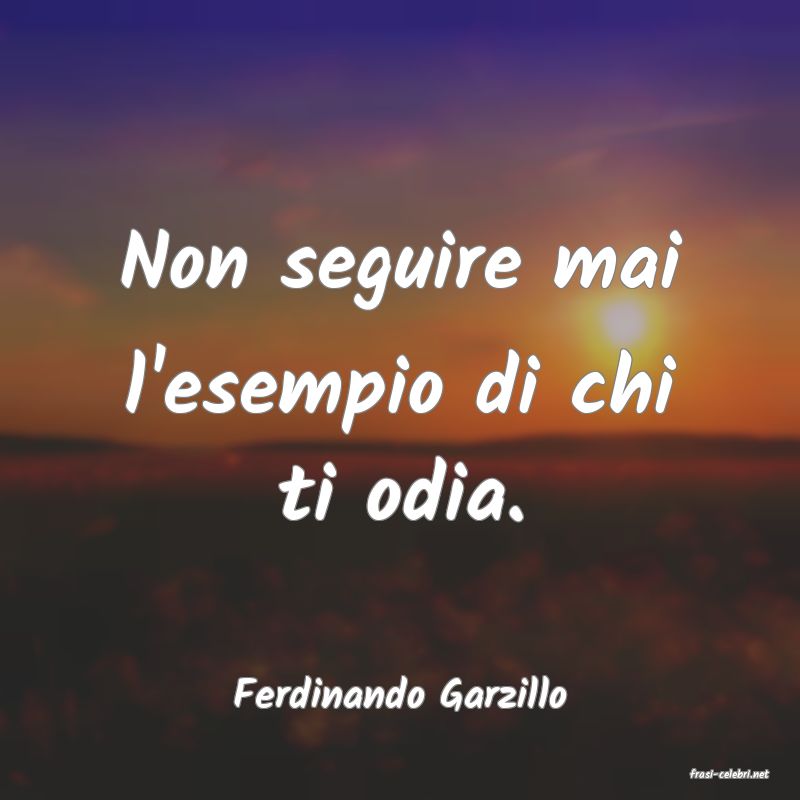 frasi di  Ferdinando Garzillo
