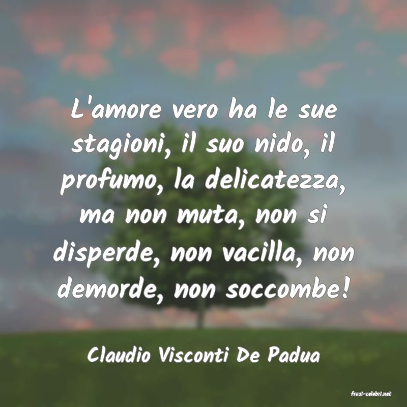 frasi di  Claudio Visconti De Padua

