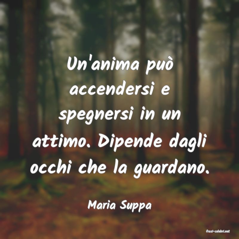 frasi di  Maria Suppa

