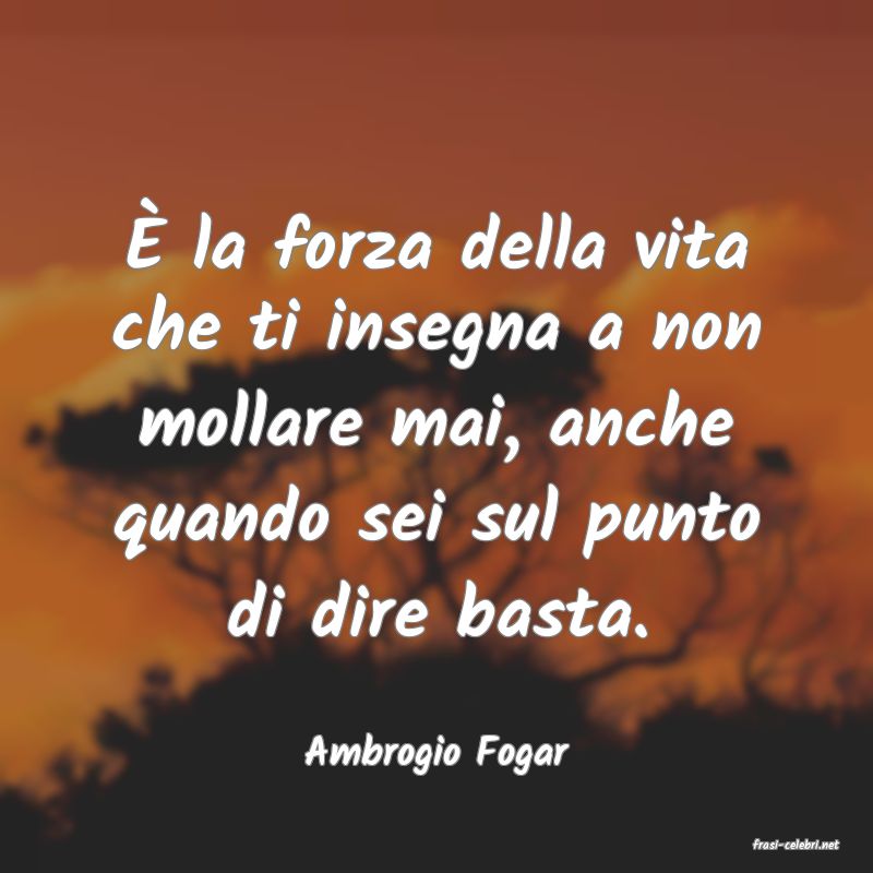 frasi di  Ambrogio Fogar
