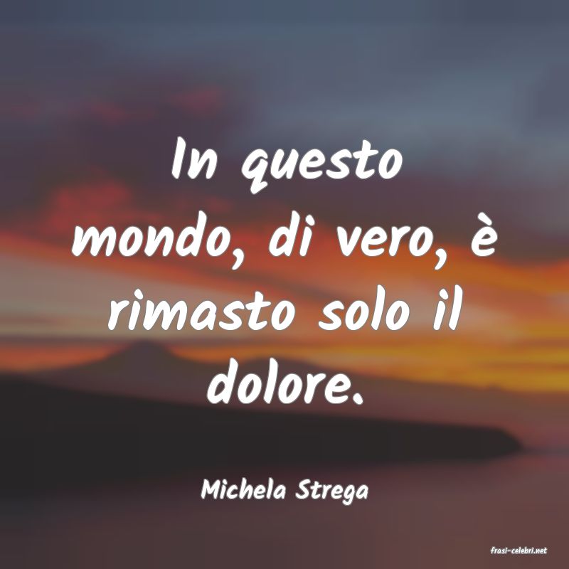 frasi di  Michela Strega
