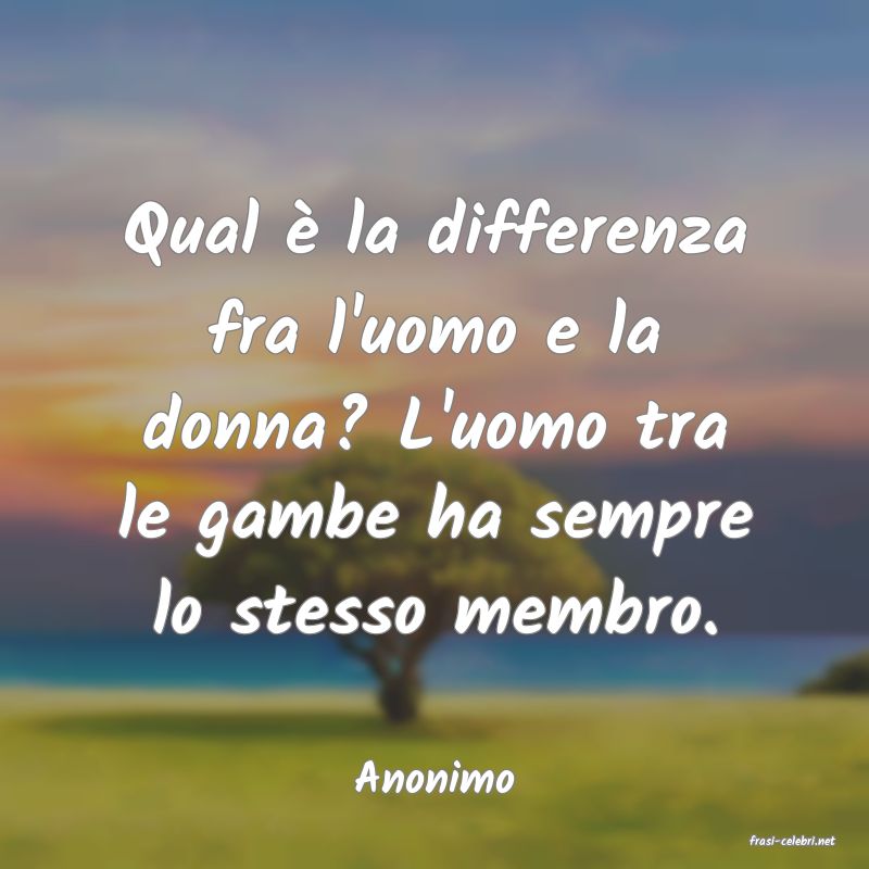 frasi di Anonimo