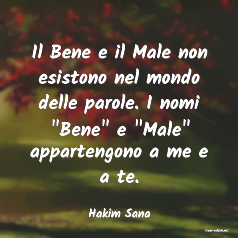 frasi di Hakim Sana