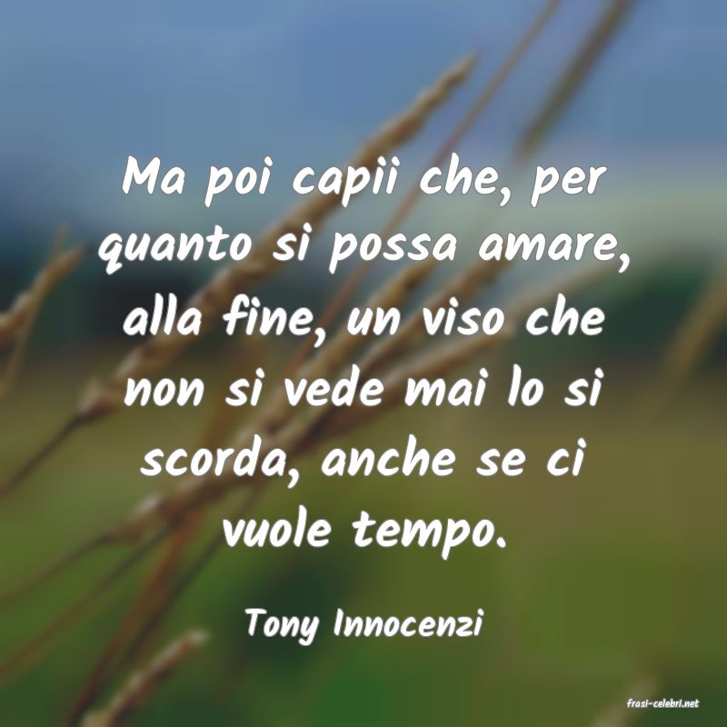 frasi di  Tony Innocenzi
