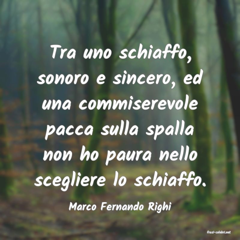 frasi di  Marco Fernando Righi
