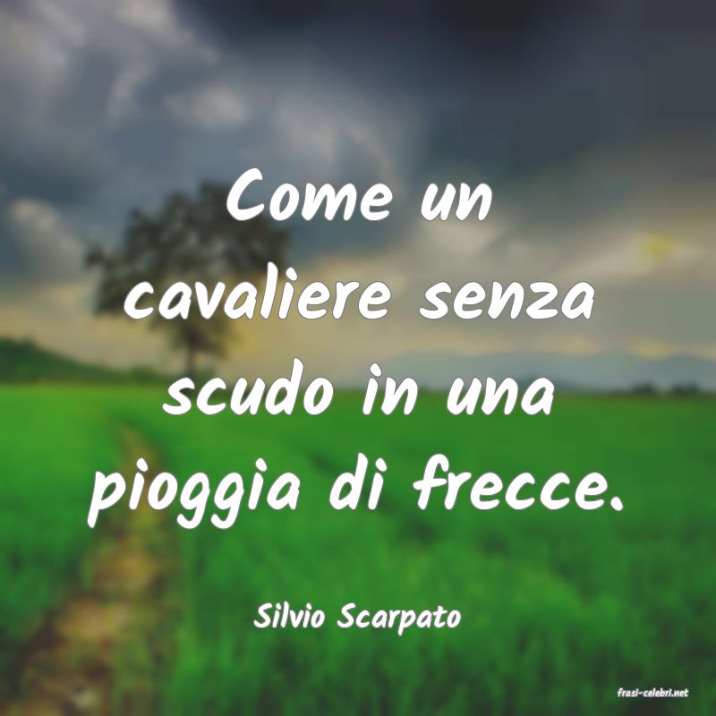 frasi di  Silvio Scarpato
