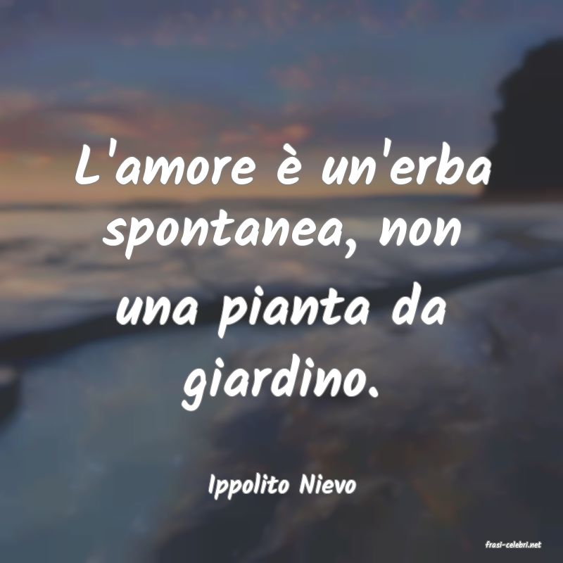 frasi di  Ippolito Nievo
