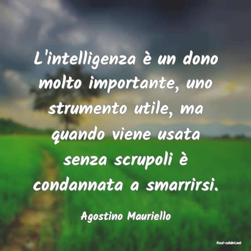 frasi di  Agostino Mauriello
