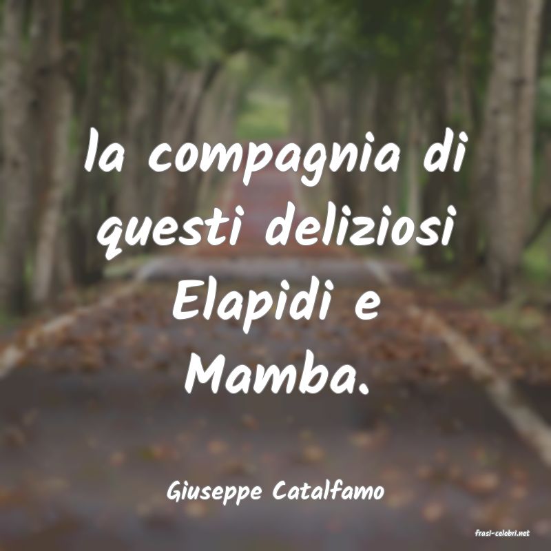 frasi di Giuseppe Catalfamo