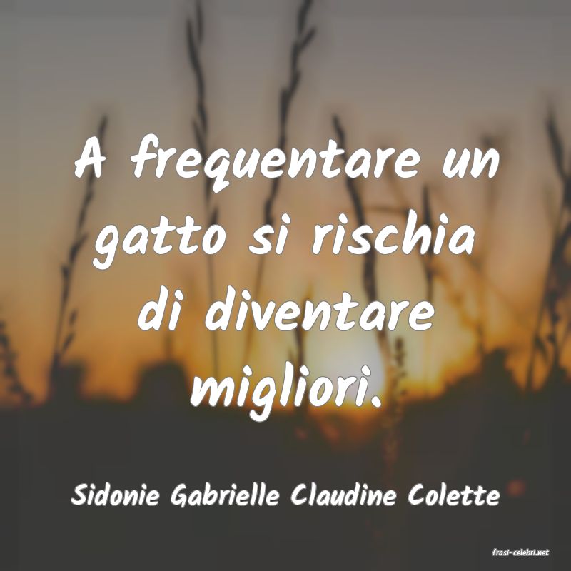 frasi di  Sidonie Gabrielle Claudine Colette
