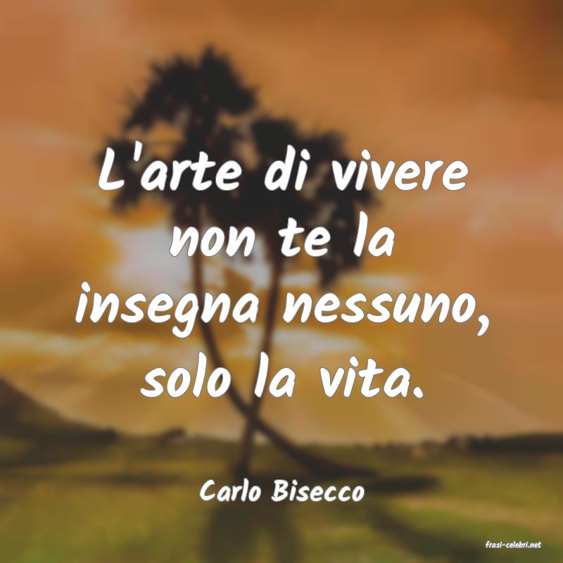 frasi di  Carlo Bisecco
