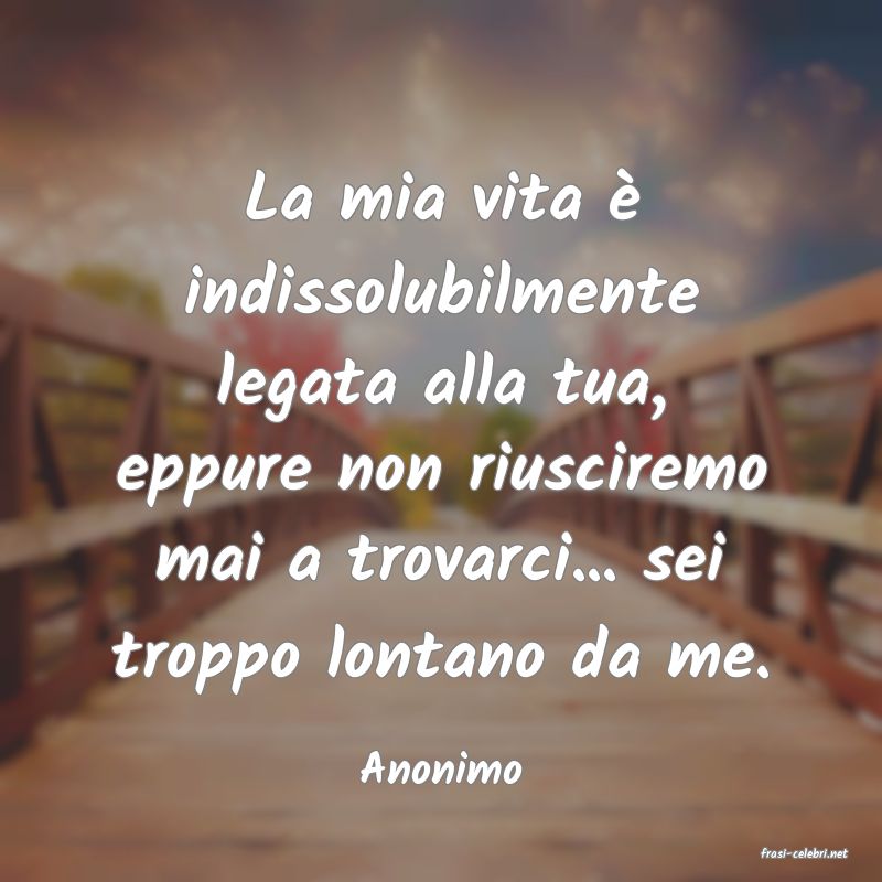 frasi di  Anonimo
