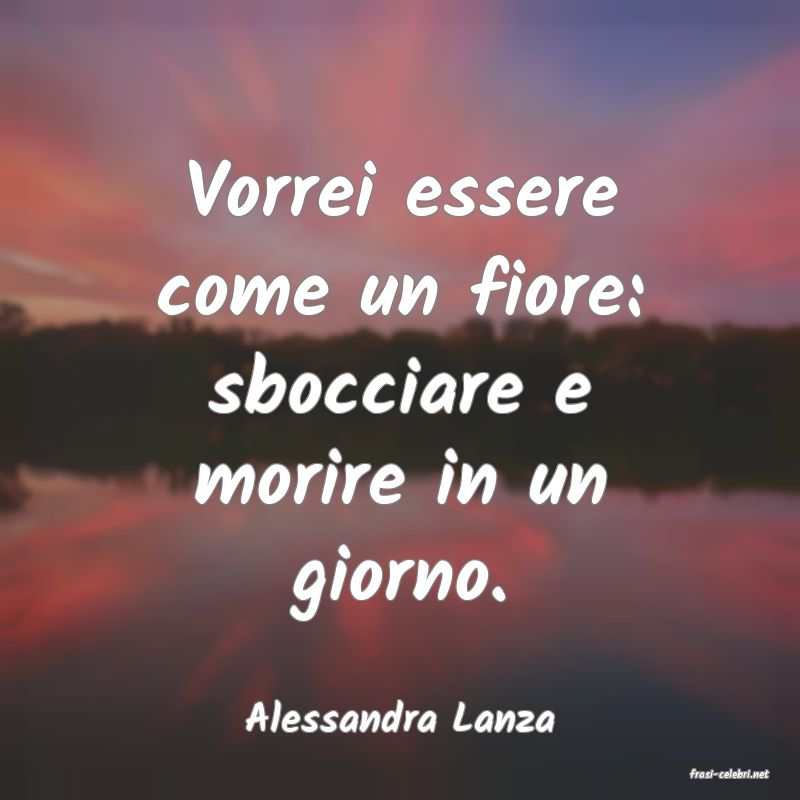 frasi di Alessandra Lanza