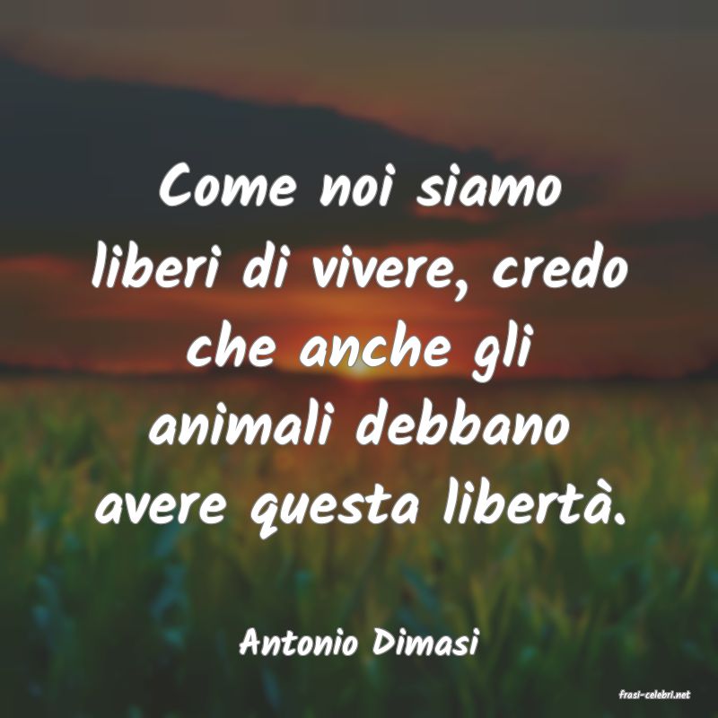frasi di Antonio Dimasi
