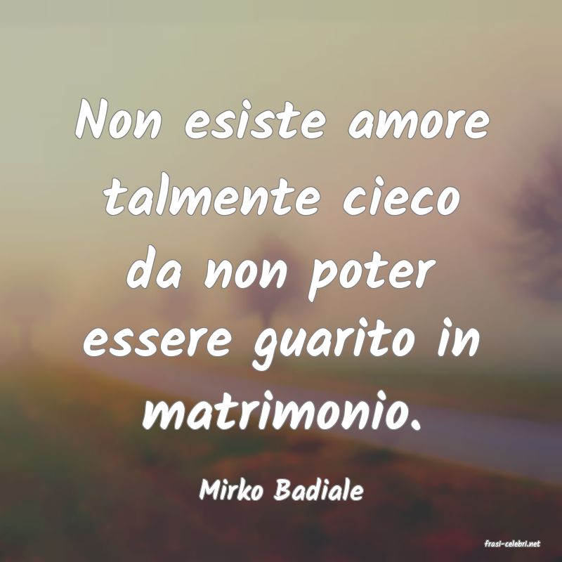 frasi di  Mirko Badiale
