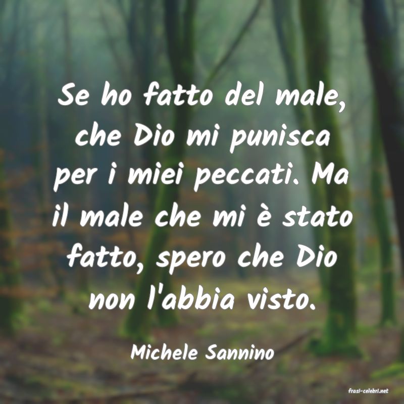 frasi di  Michele Sannino
