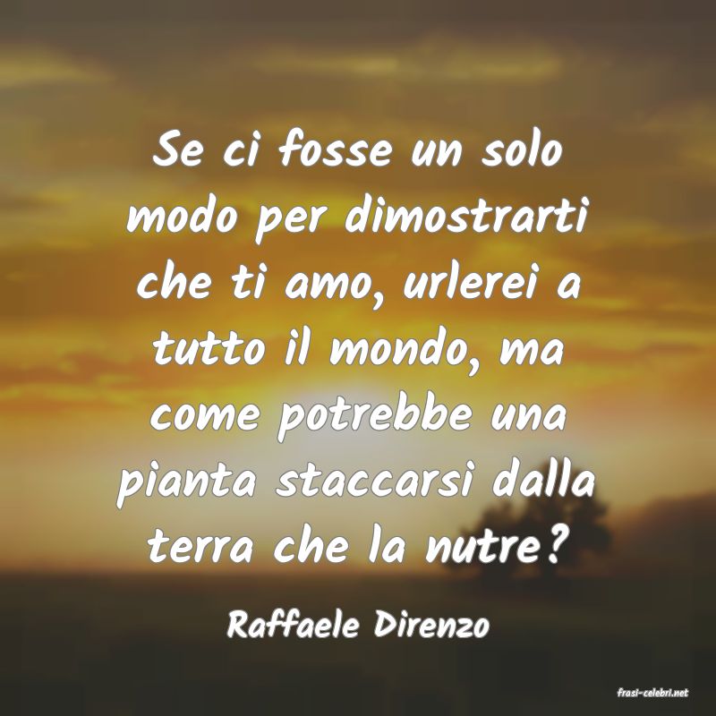 frasi di  Raffaele Direnzo
