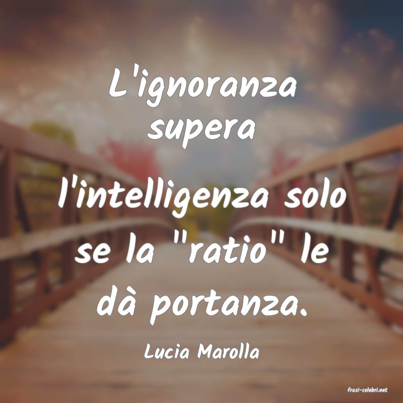 frasi di  Lucia Marolla
