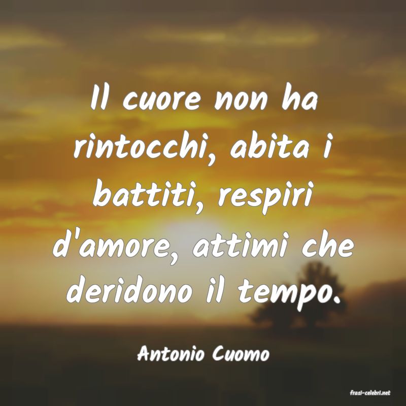 frasi di  Antonio Cuomo
