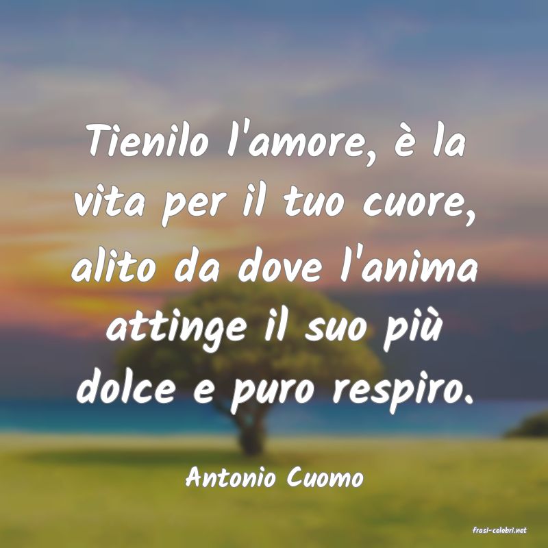 frasi di  Antonio Cuomo
