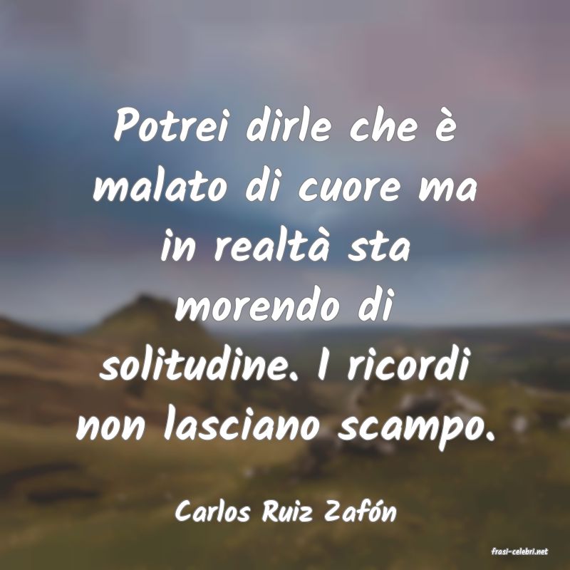 frasi di Carlos Ruiz Zafn