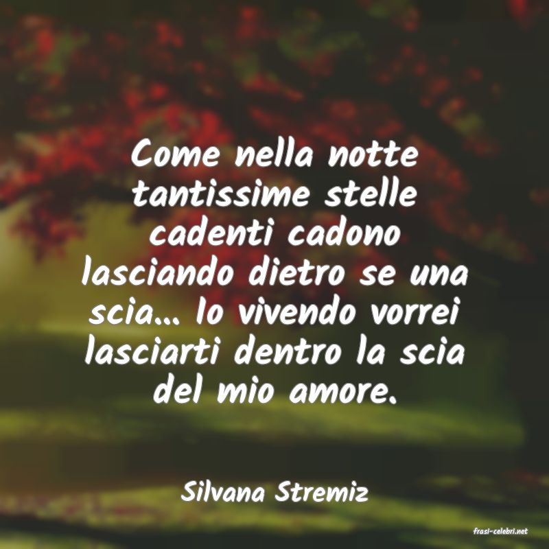 frasi di Silvana Stremiz
