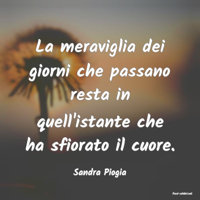 frasi di  Sandra Piogia
