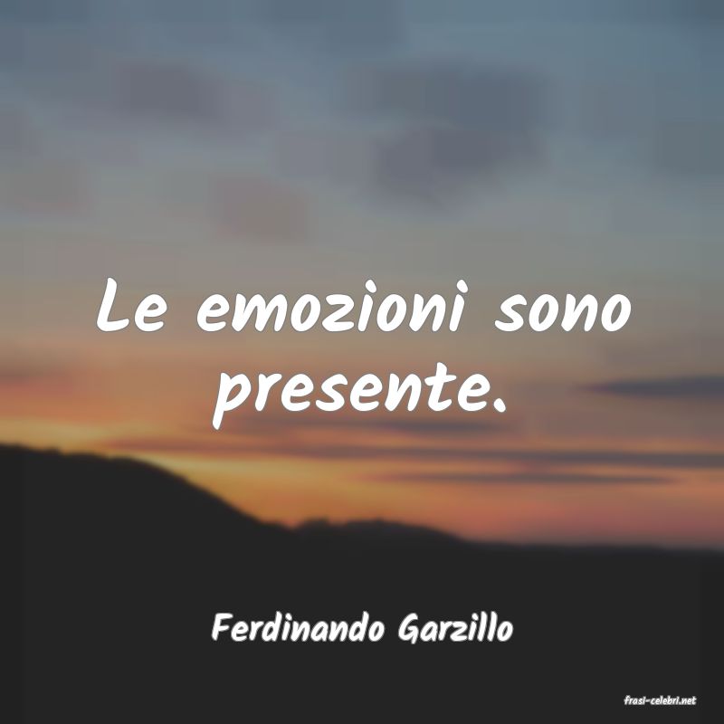 frasi di  Ferdinando Garzillo
