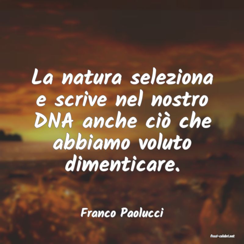 frasi di  Franco Paolucci
